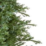 National Tree Fairview Fir 7ft Christmas Tree