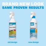 HG Mould Spray 0.5L