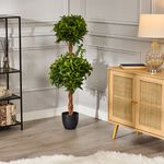 Double Laurel Topiary Tree 1.2M