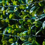 400 SOLAR String Lights - White