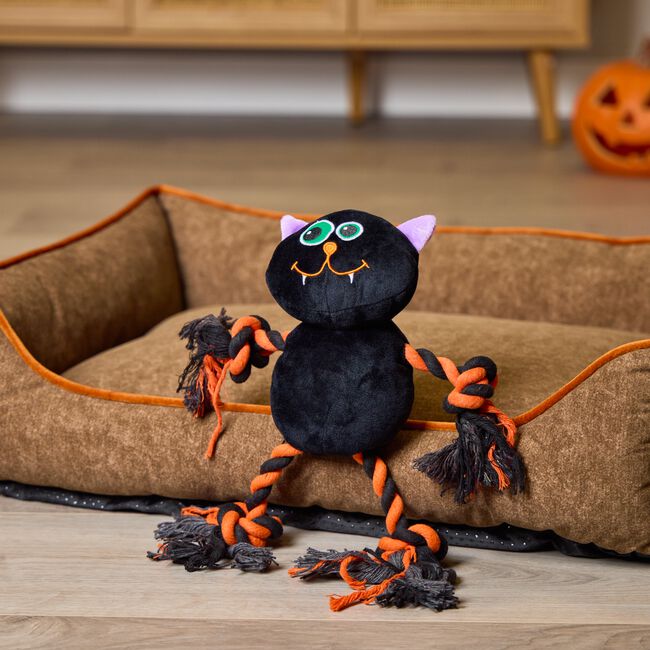 Halloween Cat Plush & Rope Toy