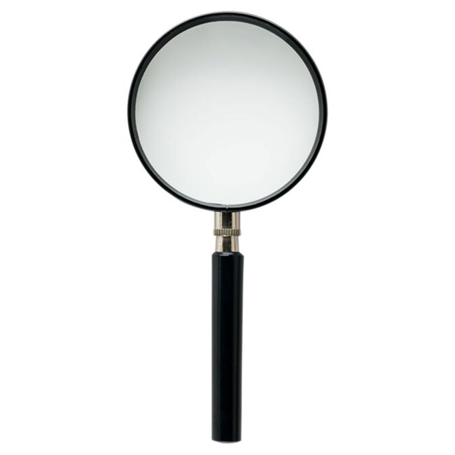 Concept Magnifying Glass