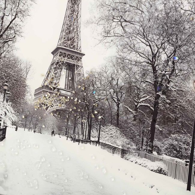 Paris Jewelled Framed Art 60cm x 60cm