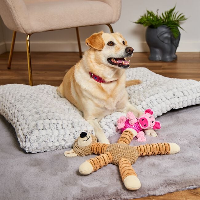 Perfect Paws Luxury Pet Cushion - Large