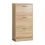 Bergstrom Shoe Cabinet