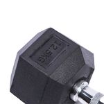 Body Go Rubber Hex Dumbbell 12.5kg