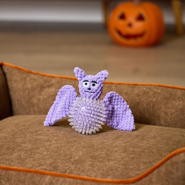 Halloween Bat Dog Toy