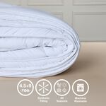 SINGLE FOUR SEASONS Duvet