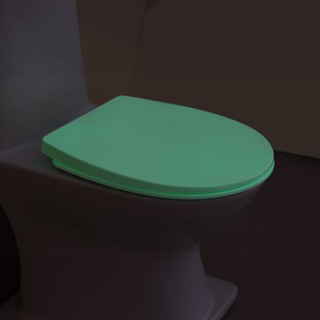 Glow In The Dark Slow Closing Toilet Seat