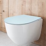 Super Slim Soft Closing Toilet Seat