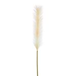 Pampas Single Stem Natural 96cm