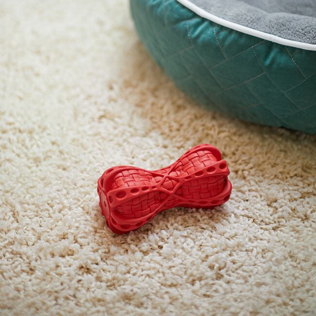 Doggy Treat Dispenser & Chew Dog Toy