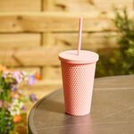 Bello Tumbler + Straw 500ml