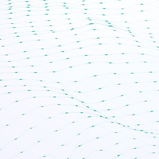 6 x 4m Garden Netting