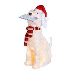 66cm Light Up Snowy Christmas Dog