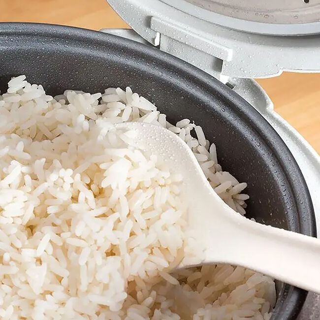 Judge Electrical 1.8L Rice Cooker