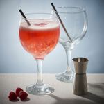 Ravenhead Entertain Gin Balloon Glass Set Of 2