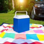12V Electrical Cooler Box