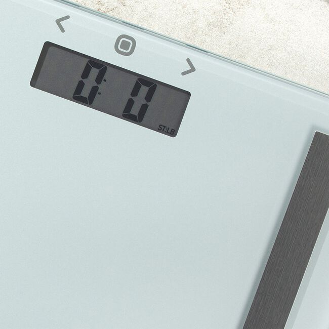 Salter BMI Compact Glass Light Green Scale