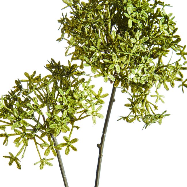 CROWN FLOWER BRANCH Olive 