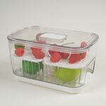 Storage Master Keep Fresh Medium Storage