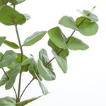 Eucalyptus Spray Green 88cm