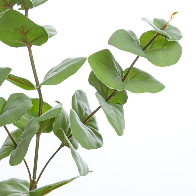 Eucalyptus Spray Green 88cm