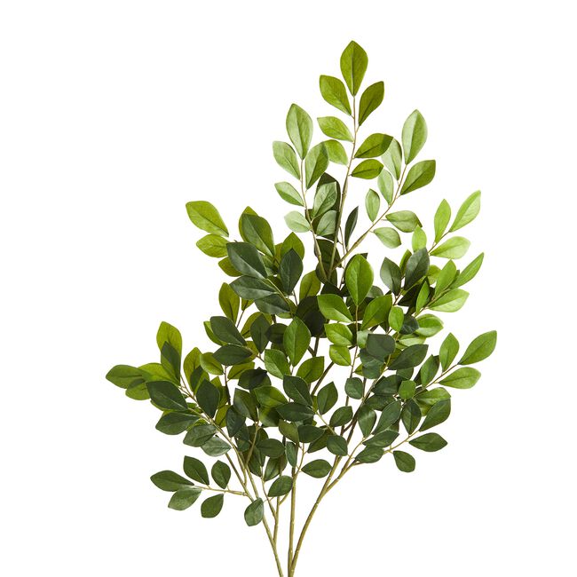 Smilax Wedding Vine Foliage 72cm