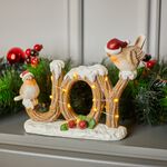 Christmas Joy With Robins Decoration