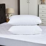Anti Allergy Pillow Protector Pair