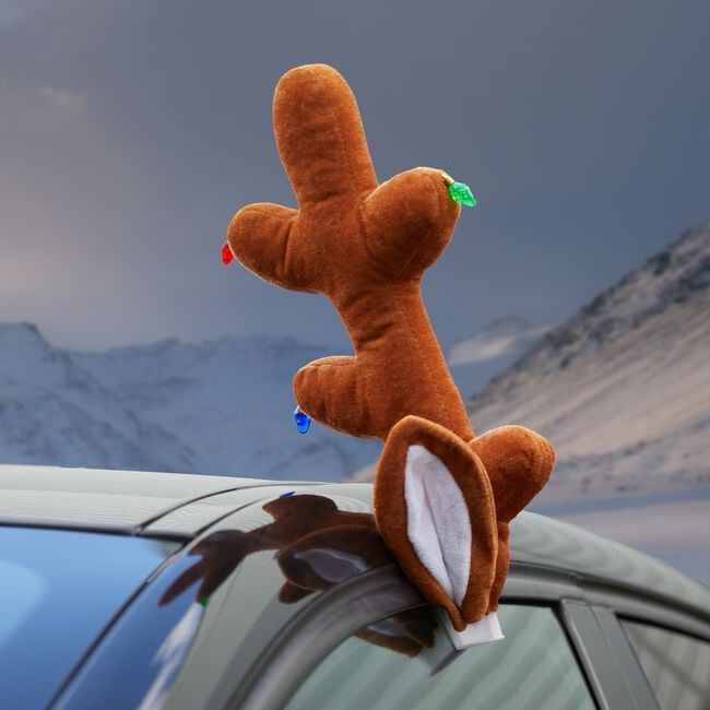 Reindeer Car Kit