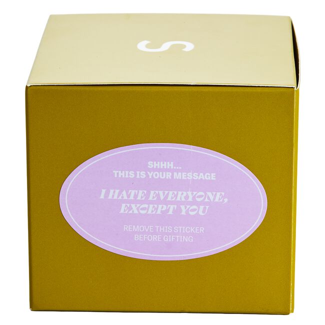 Hidden Message I Hate Everyone Except You Candle