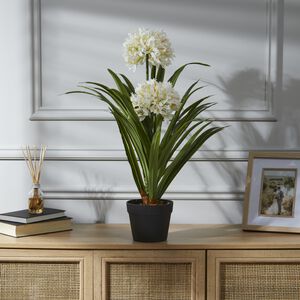 Artificial African Lily Flowers 70cm 