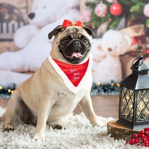 Christmas Dog Bandana