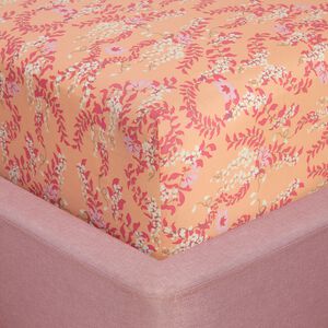 JAZMINE Single Fitted Sheet