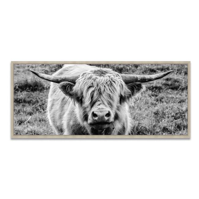 Highland Cow 45cm x 105cm Framed