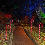 Set Of 4 Candy Cane Path Lights