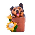 Puppy & Kitten Garden Solar Light