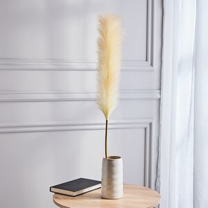 Pampas Single Stem Natural 96cm