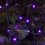 240 PURPLE Led String Lights