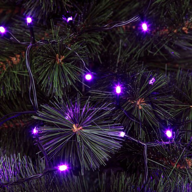 240 PURPLE Led String Lights