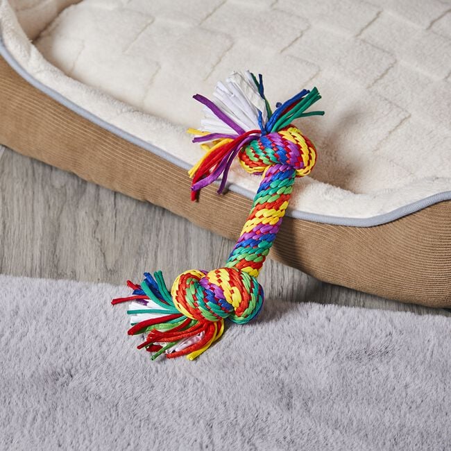 Charlie Rope Pet Toy