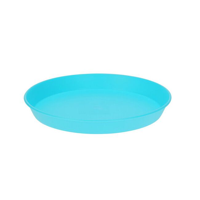 Picnic Plates 6 Pack