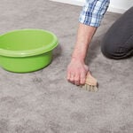 HG Upholstery & Carpet Floor Cleaner 1L