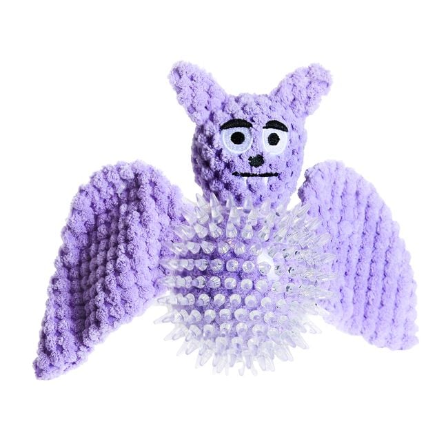 Halloween Bat Dog Toy