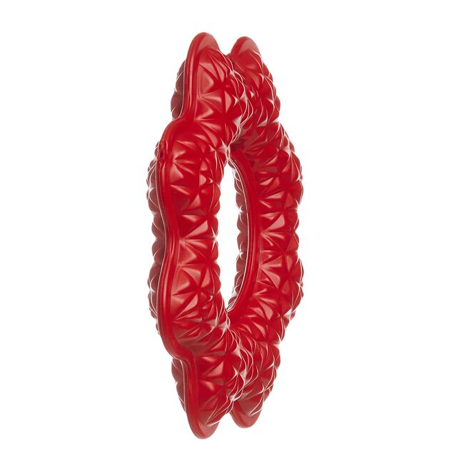 Durable Ring Dog Toy