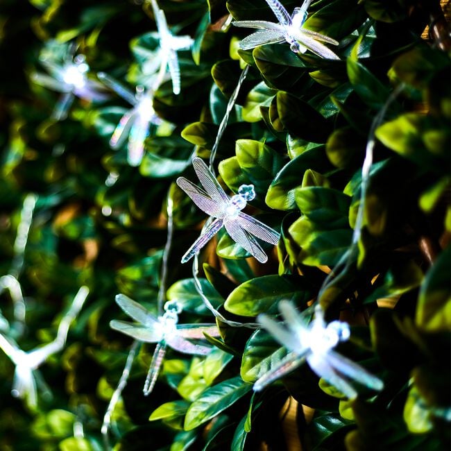 20 Dragonfly Solar String Lights