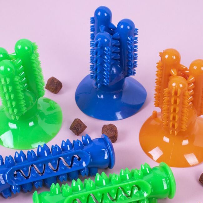 Dental Rubber Toothbrush Dog Toy - Assorted