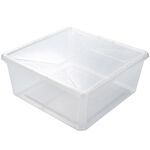 Ezy Storage Karton 9.2L Storage Box