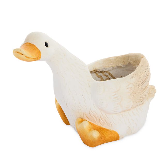 Duck Plant Pot